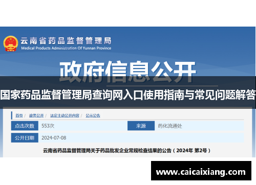 国家药品监督管理局查询网入口使用指南与常见问题解答