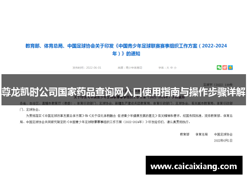 尊龙凯时公司国家药品查询网入口使用指南与操作步骤详解